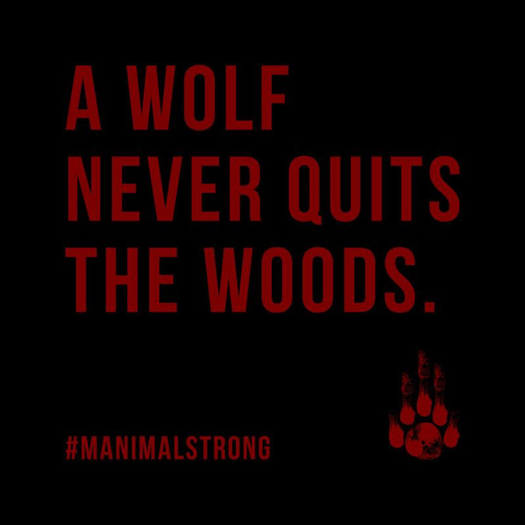 Wolf by MANIMAL